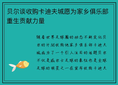 贝尔谈收购卡迪夫城愿为家乡俱乐部重生贡献力量