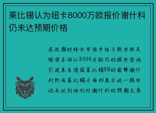 莱比锡认为纽卡8000万欧报价谢什科仍未达预期价格