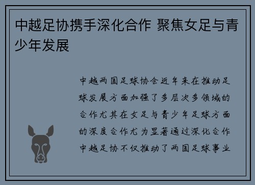 中越足协携手深化合作 聚焦女足与青少年发展